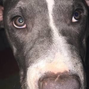 Meet your Posher, Hailey